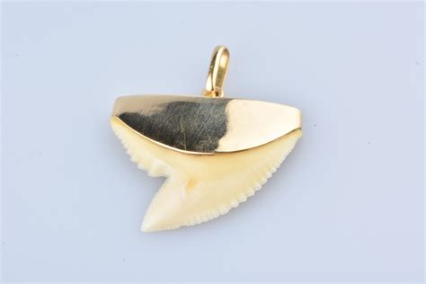 Pendentifs dent de requin en ligne .